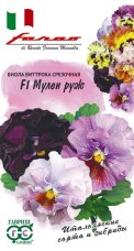 Виола Мулен руж F1 Виттрока (Анютины глазки)